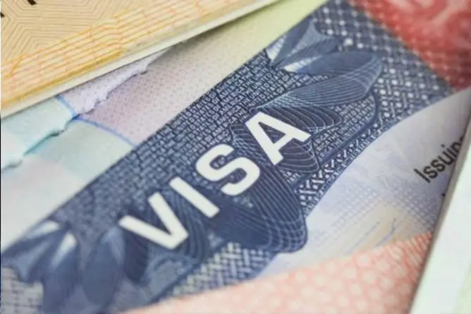 Visa Assistance Service
